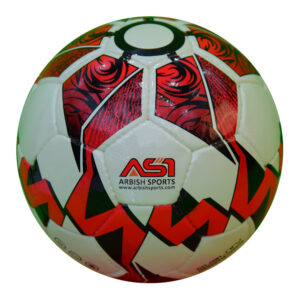 Hand Sewn Practice Soccer Ball/Football WM-1201